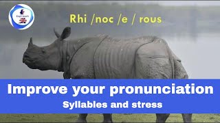 Improve your pronunciation with syllables and stress