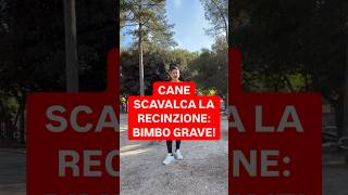 #DIRITTOINPILLOLE - CANE SCAVALCA LA RECINZIONE: BIMBO GRAVE!