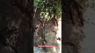 #asmr #asmrsounds #bushcraftcamping #mancingviral #sungai #ikanbanyak #fypシ゚viral #shortvideo