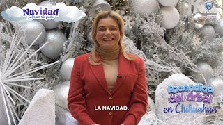 Juntos encendamos la luz del árbol navideño en Chihuahua capital.