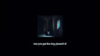 Jack Stauber - can you get the dog please? (leaked)