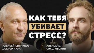 Какие сигналы нам дает мозг? Алексей Ситников про причины рака, гормон смерти и умение слушать себя