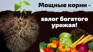 Кормилица Микориза для корней универсальная