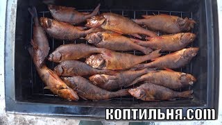 Рыба Горячего Копчения в домашних условиях! Готовим Окуня