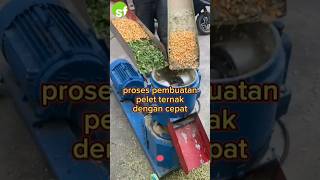 proses pembuatan pelet dengan cepat #shorts