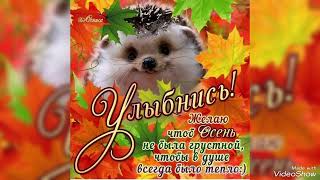 Здравствуй ОСЕНЬ🍁🍂🍃