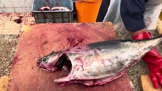 Amazing Speedy Fish Cutting Skills।। Arabian Nights Fish Cutting Master