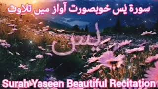 Surah Yasin (Yaseen) سورۃ یٰس Full Beautiful Recitation | Most Beautiful Recitation Of Surah Yaseen