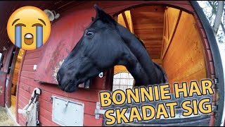 BONNIE ÄR SKADAD