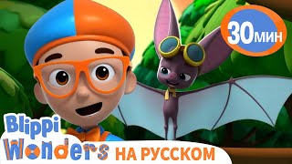 Где обитают Летучие Мыши🦇🦇 | Обучающие мультики для детей | Blippi Russian