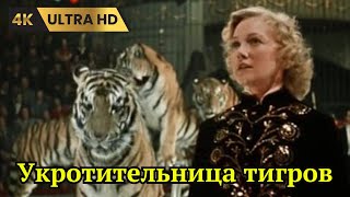 УКРОТИТЕЛЬНИЦА ТИГРОВ   ( 1954 )    /   комедия, мелодрама, Ultra HD 4K