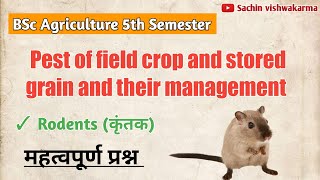 Pest of field crops and stored grain and their management | Rodents | rat class in hindi