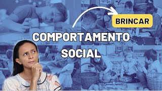 Como a Criança APRENDE a se SOCIALIZAR: os 6 Estágios Social do Brincar