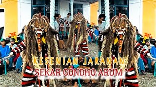 ATRAKSI RANGDE LEAK ( SEKAR GONDHO ARUM ) LIVE  MANGIR BANYUWANGI 2023