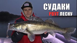 НАДО ВИДЕТЬ! СУДАКИ Рвут ЛЕСКУ с ПОДСЕЧКИ! Рыбалка на СУДАКА с ДЖИГОМ!!!