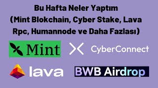 Bu Hafta Neler Yaptım (Mint Blokchain, Cyber Stake, Lava Rpc, Humannode ve Daha Fazlası)