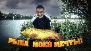 Шаман | Рыба моей мечты |