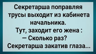 Как Хитрая Секретарша Начальника Наказала! Сборник Свежих Анекдотов! Юмор!