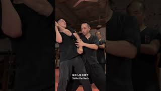 Wing Chun Classroom Throw Technique Revealed with @WingchunTuTengyao