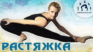 Растяжка для начинающих на каждый день / Стретчинг