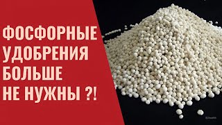 Вместо фосфорных удобрений микробиология! Фосфат мобилизаторы.