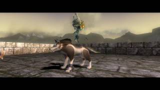 The Legend of Zelda: Twilight Princess HD - Filling the Ancient Sky Book