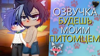 ОЗВУЧКА СЕРИАЛА 🐾 Будешь моим питомцем 🐈 Гача Лайф Мини Фильм - Gacha Life [Яой]