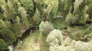 Hendrikhansu outcrop. Estonia. (Drone Footage)