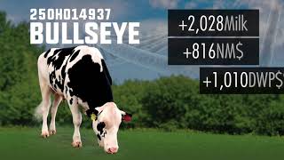 NxGEN | 250HO14937 BULLSEYE