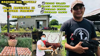 Backyard Chicken Free Range | Magkano Ang Capital | Dapat Mo Itong Malaman | Potential Business