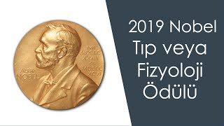 2019 Nobel Tıp Ödülü