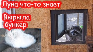 VLOG Ужасная история. Утро воскресенья 8 сентября