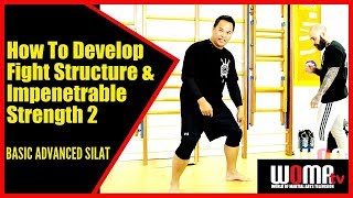 How To Develop Flowing Fight Structure & Impenetrable Strength 2 BASIC ADVANCED SILAT