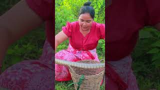 catch sanke  #primitivevillsgetc #village_cooking #primitivevillagelife #catchingfish #primitivelife