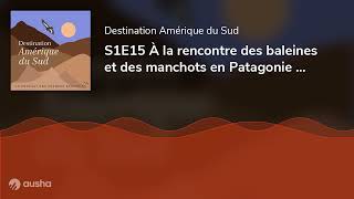 S1E15 À la rencontre des baleines et des manchots en Patagonie et en Terre de Feu