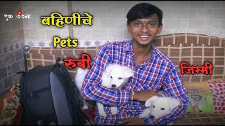 💥बहिणीचे Pets रुबी आणि जिम्मी full masti 💥 #vlog no.2