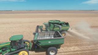 2016 Nebraska Wheat Harvest