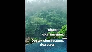 yağmurlu bir günden #yaşam #yağmur #türkiye #doğa #izlenme #karadeniz #reels #youtube