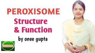 Peroxisome | Structure & Function | In hindi | Detail explanation|By onee Gupta @sourcebotany7203