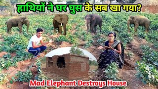 हाथियों ने घर घुस के सब खा गया? | Mad Elephant Destroys House | Very Dangerous Elephant😭