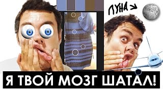 5 чувств которые вас обманывают (#thedress) - ТОПЛЕС