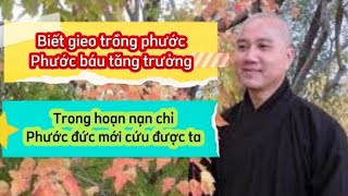 Cách gieo trồng phước đức để có cuộc sống an yên, hạnh phúc