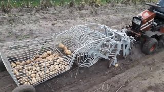 Копка картошки 2019! Digging potatoes 2019! حفر البطاطس