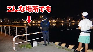 ダイワの釣りプロとライトゲームしたら初場所でもボコボコ釣るんだけどどうなってるの？