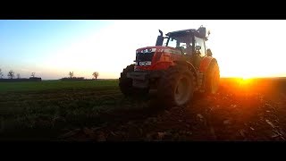 Wiosenna orka 2018 Przy zachodzie słonca i OBORNIK Massey Ferguson 7715+UNIA ibis XXL Class AXION