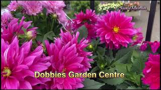 Visited Dobbies Garden Centre