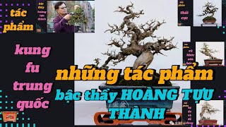 Những tác phẩm cây cảnh của giáo viên HOÀNG TỰU THÀNH, những cây cổ thụ đạt giải thưởng lớn