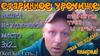 Старинное урочище.Нашёл не битое место,где полно монет!Коп-разведка металлоискателем.надо успеть!