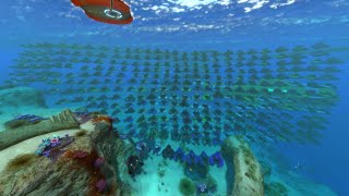 Making A Seamoth Every Day Until Subnautica 2: Day 303