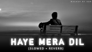 Lofi-Mix haye mera dil slowed and reverb love feeling song TRUE LOVE ❤️ Lofi-Mix Mashup By ADR